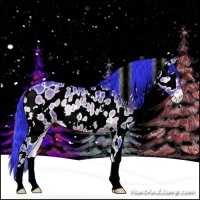Horse Color:Watercolor White Spotted Bay Onyx Appaloosa 
