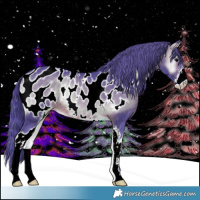 Horse Color:Watercolor Brown Onyx Sabino Appaloosa