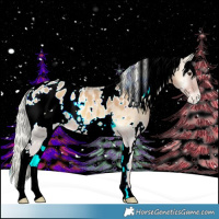 Horse Color:Watercolor White Spotted Palomino Onyx Appaloosa 