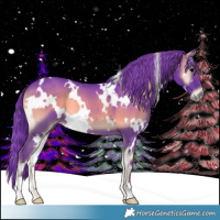 Horse Color:Watercolor White Spotted Blue Onyx 