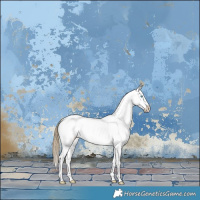 Horse Color:Buckskin Pearl Dun Blanket Brindle 