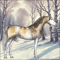 Horse Color:White Spotted Chocolate Palomino Onyx Sabino Splash 
