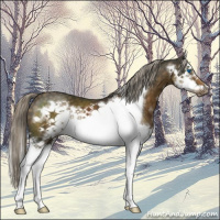 Horse Color:Chocolate Palomino Sabino Splash Frame 