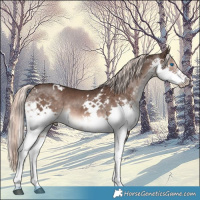 Horse Color:White Spotted Liver Chestnut Mushroom Sabino Splash 