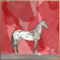 Horse Color:Brown Dun Blanket Brindle 