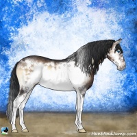 Horse Color:Brown Onyx Splash Frame