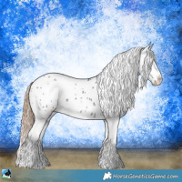 Horse Color:Liver Chestnut Appaloosa Rabicano