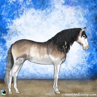 Horse Color:Brown Onyx Splash Rabicano