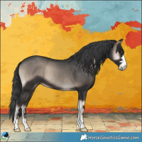 Horse Color:Blue Onyx Mushroom 