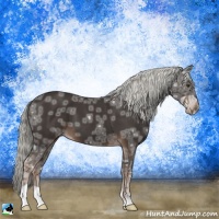 Horse Color:Liver Chestnut Ice Mushroom 