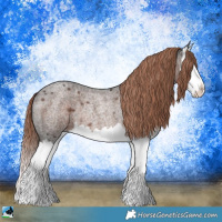 Horse Color:Liver Red Roan Splash Rabicano 