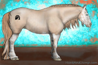 Horse Color:Gold Champagne Pearl Rabicano  and Gold Champagne Pearl Splash Rabicano 