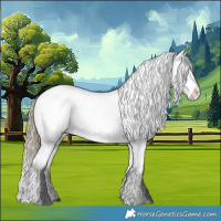 Horse Color:Smoky Black Appaloosa Rabicano 