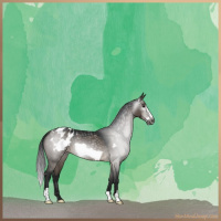 Horse Color:Gray Brown Dun Frame Blanket 