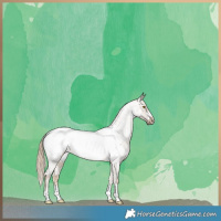 Horse Color:Chocolate Palomino Roan Dun Snowcap Brindle 