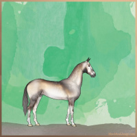 Horse Color:Gray Liver Red Onyx 