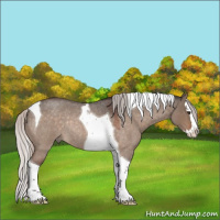 Horse Color:Silver Brown Roan Dun Splash Tobiano Rabicano 