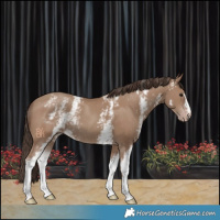 Horse Color:White Spotted Classic Champagne 