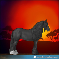 Horse Color:Black 