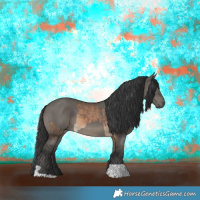 Horse Color:Brown Dun  and Grullo 