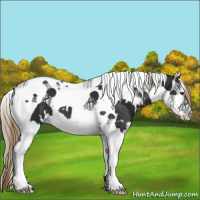 Horse Color:White Spotted Liver Chestnut Splash Tobiano 