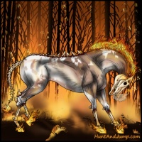 Horse Color:White Spotted Sable Champagne Onyx Mushroom Tobiano Blanket Rabicano 