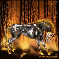 Horse Color:White Spotted Liver Chestnut Splash Rabicano 