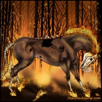 Horse Color:Void White Spotted Liver Chestnut Tobiano Rabicano