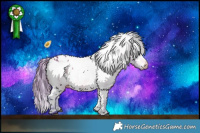 Horse Color:Watercolor White Spotted Bay Varnish 