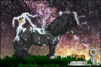 Horse Color:White Spotted Black