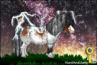 Horse Color:White Spotted Bay 