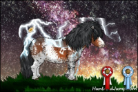 Horse Color:White Spotted Brown 