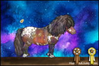 Horse Color:Nacre White Spotted Bay Appaloosa