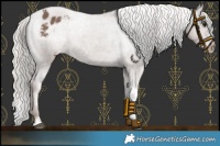 Horse Color:Silver Black Tobiano Varnish 