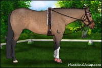 Horse Color:Brown Dun 