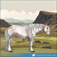 Horse Color:White Spotted Liver Red Onyx Mushroom Sabino Appaloosa Rabicano 