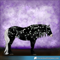 Horse Color:Watercolor Silver Bay Ice Sabino Splash