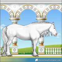 Horse Color:Silver Buckskin Pearl Sabino Appaloosa 