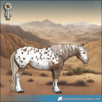 Horse Color:White Spotted Chocolate Palomino Sabino Appaloosa 