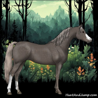 Horse Color:Silver Black 