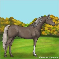 Horse Color:Silver Black 