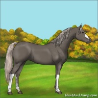 Horse Color:Silver Black 