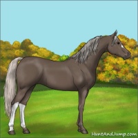 Horse Color:Silver Black 