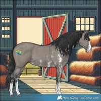 Horse Color:Grullo Sabino 