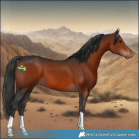 Horse Color:Brown 