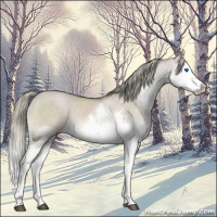 Horse Color:Liver Red Dun Mushroom Sabino Splash 
