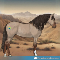 Horse Color:Liver Red Dun Rabicano 