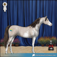 Horse Color:White Spotted Liver Red Dun 