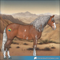 Horse Color:Silver Brown Sabino 