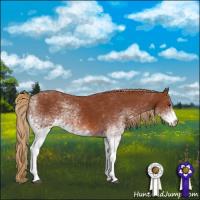 Horse Color:White Spotted Chestnut Tobiano 